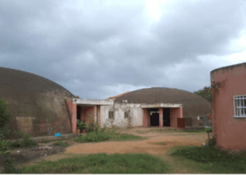 Carta do leitor: Selva “invade” Escola 1206 e deixa moradores desesperados