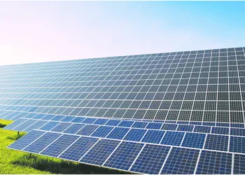 Especialistas dizem que Angola tem potencial  para ser referência no mercado do carbono