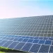 Especialistas dizem que Angola tem potencial para ser referência no mercado do carbono