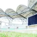 Estádio do  Chiazi recebe  obras para ser  entregue à  gestão privada