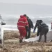Trinta migrantes mortos  em naufrágio na Itália