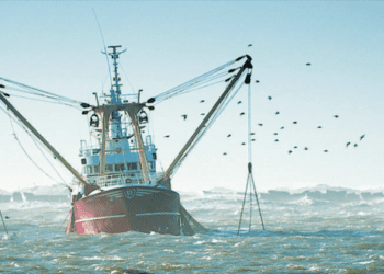 Pesca marítima movimenta perto de 845 milhões de dólares