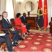 Energias renováveis reabrem nova frente de cooperação entre Angola e Bélgica
