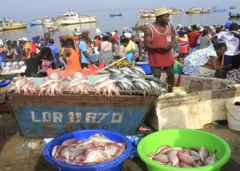 Belas e Quissama lançam campanha contra captura de peixe miúdo