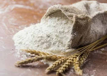 Processamento de trigo absorve 40 por cento da produção familiar