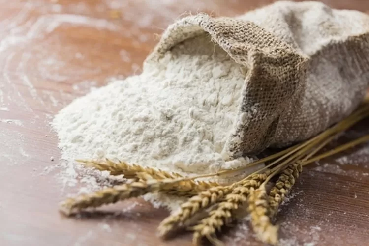 Processamento de trigo absorve 40 por cento da produção familiar