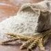 Processamento de trigo absorve 40 por cento da produção familiar