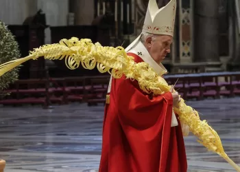 Papa preside a Missa do Domingo de Ramos no Vatican
