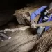 Famílias de zona de exploração de Nióbio rejeitam realojamento