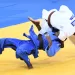 Africano de judo: Selecções participantes chegam hoje ao país