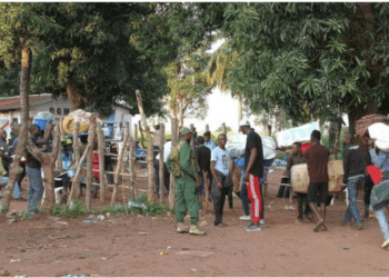 Mais de 500 imigrantes ilegais impedidos de entrar em Angola