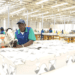 Oxford Economics prevê crescimento em Angola a acelerar para 2,3% este ano