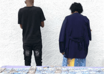 Cidadãos detidos com mais de 500 mil dólares falsos