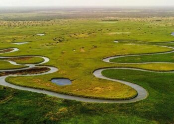 Angola lança projecto ecossistema Cubango-Okavango