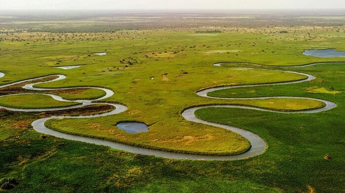 Angola lança projecto ecossistema Cubango-Okavango