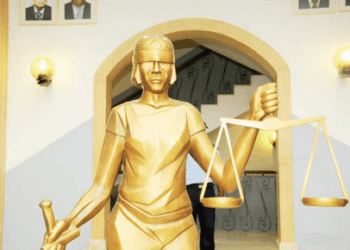 “O Tribunal Arbitral do Desporto não deve ser criado pensando apenas no futebol”