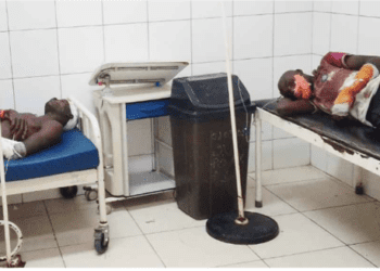Embate contra um boi provoca a morte a três pessoas e fere outras 16