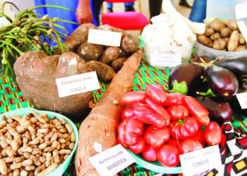 Província expõe potencialidades em feira