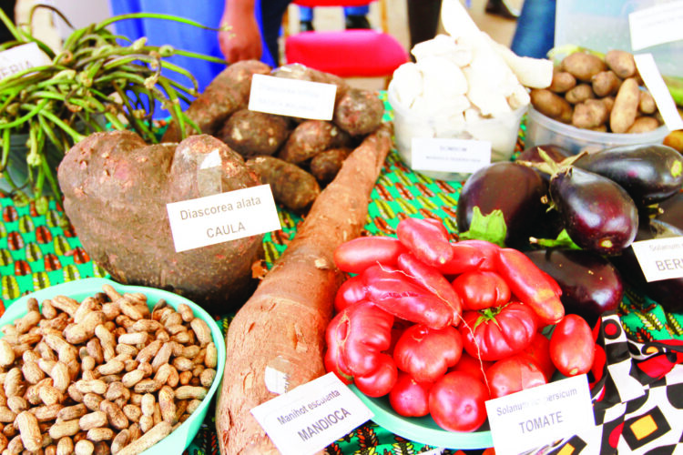 Província expõe potencialidades em feira