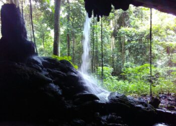 FDUAN realiza II Conferência Internacional de Direito do Ambiente