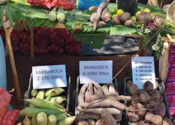 Mais de 100 toneladas de produtos na Feira de Campo no Cuanza-Sul