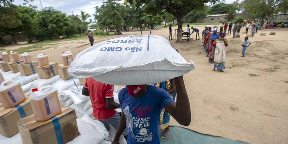 PAM pede empenho do G7 na luta contra as crises no Sudão, Haiti e Sahel