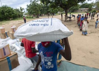 PAM pede empenho do G7 na luta contra as crises no Sudão, Haiti e Sahel