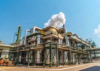 Biocom responde a 40% do mercado nacional