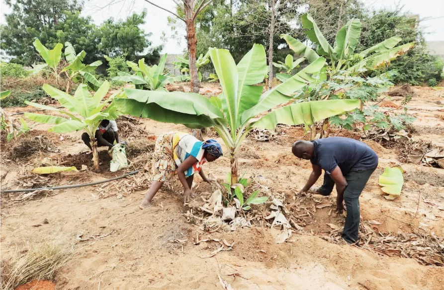 Jovens aumentam crença e formações viradas para agricultura ganham espaço