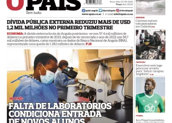 Editorial: Leilão