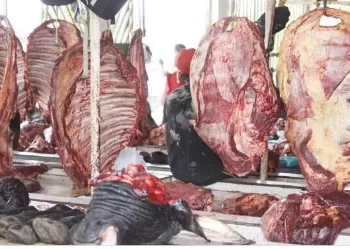Investido mais de USD 3 milhões em matadouro na Huíla