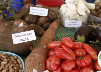 Mais de 300 empresas nacionais e estrangeiras expõem potencialidades na Expo-Huila