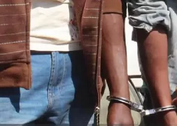Cidadãos congoleses julgados por exploração ilegal de ouro e caça furtiva