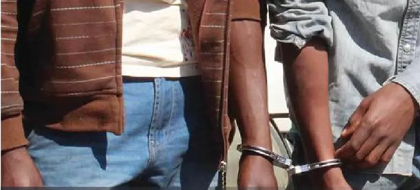 Cidadãos congoleses julgados por exploração ilegal de ouro e caça furtiva