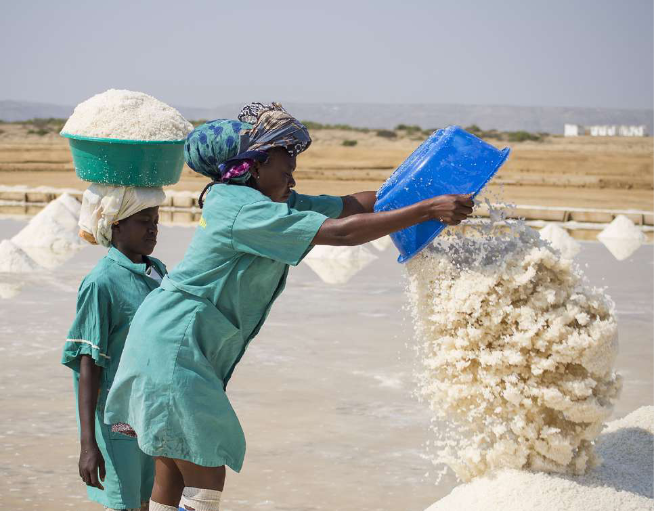 Angola pode atingir a produção de 200 mil toneladas de sal este ano
