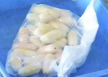 Polícia Nacional detém cidadão com quatro quilos de cocaína em Cabinda