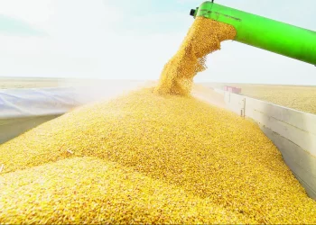 Diminuir a importação com linha de crédito para o Planagrão