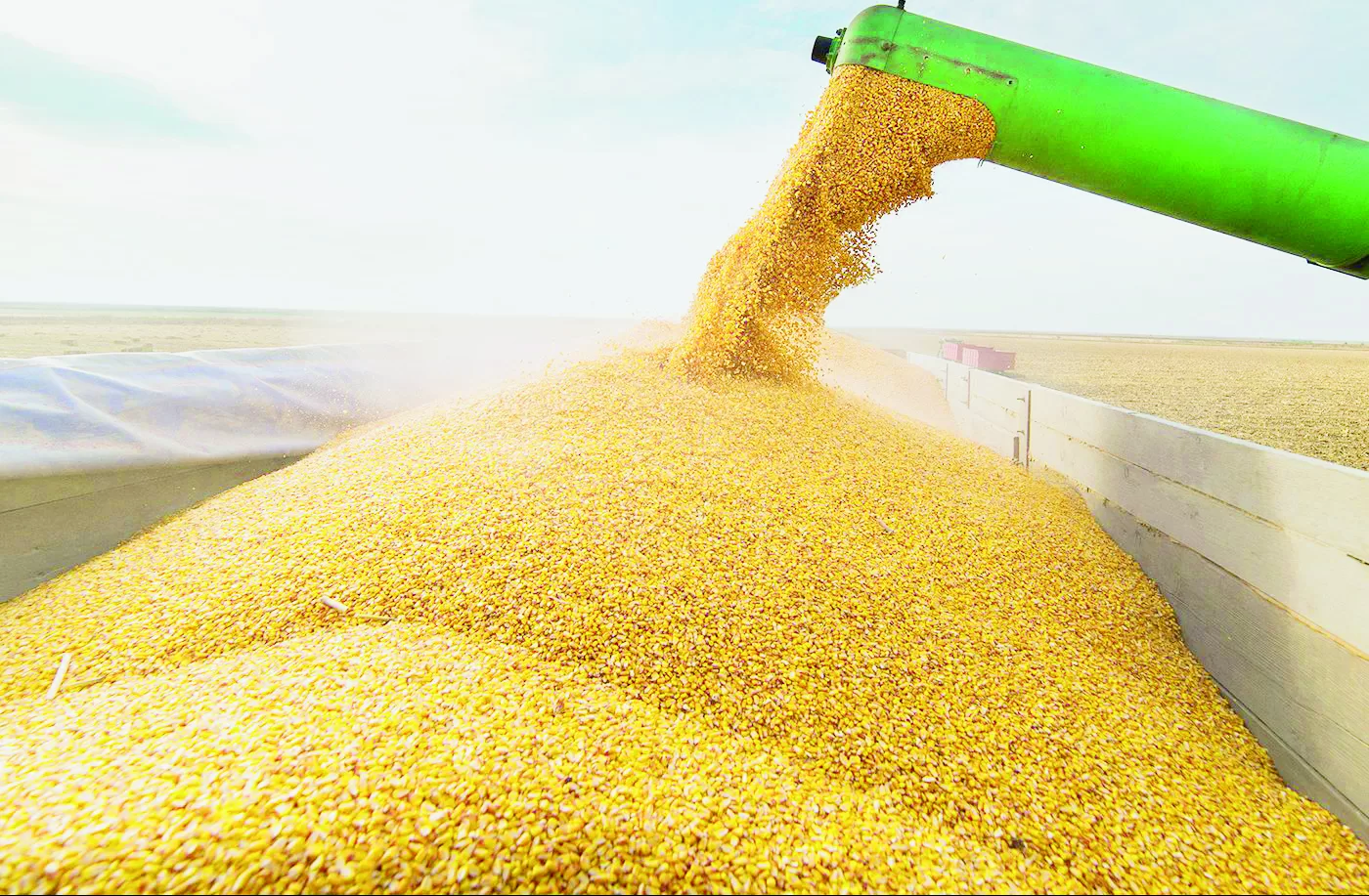 Diminuir a importação com linha de crédito para o Planagrão