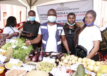 Estudo aponta que Angola deve garantir 9,7 milhões de toneladas de alimentos até 2027
