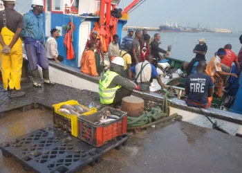 Exportação de peixe ronda os 239 milhões de dólares