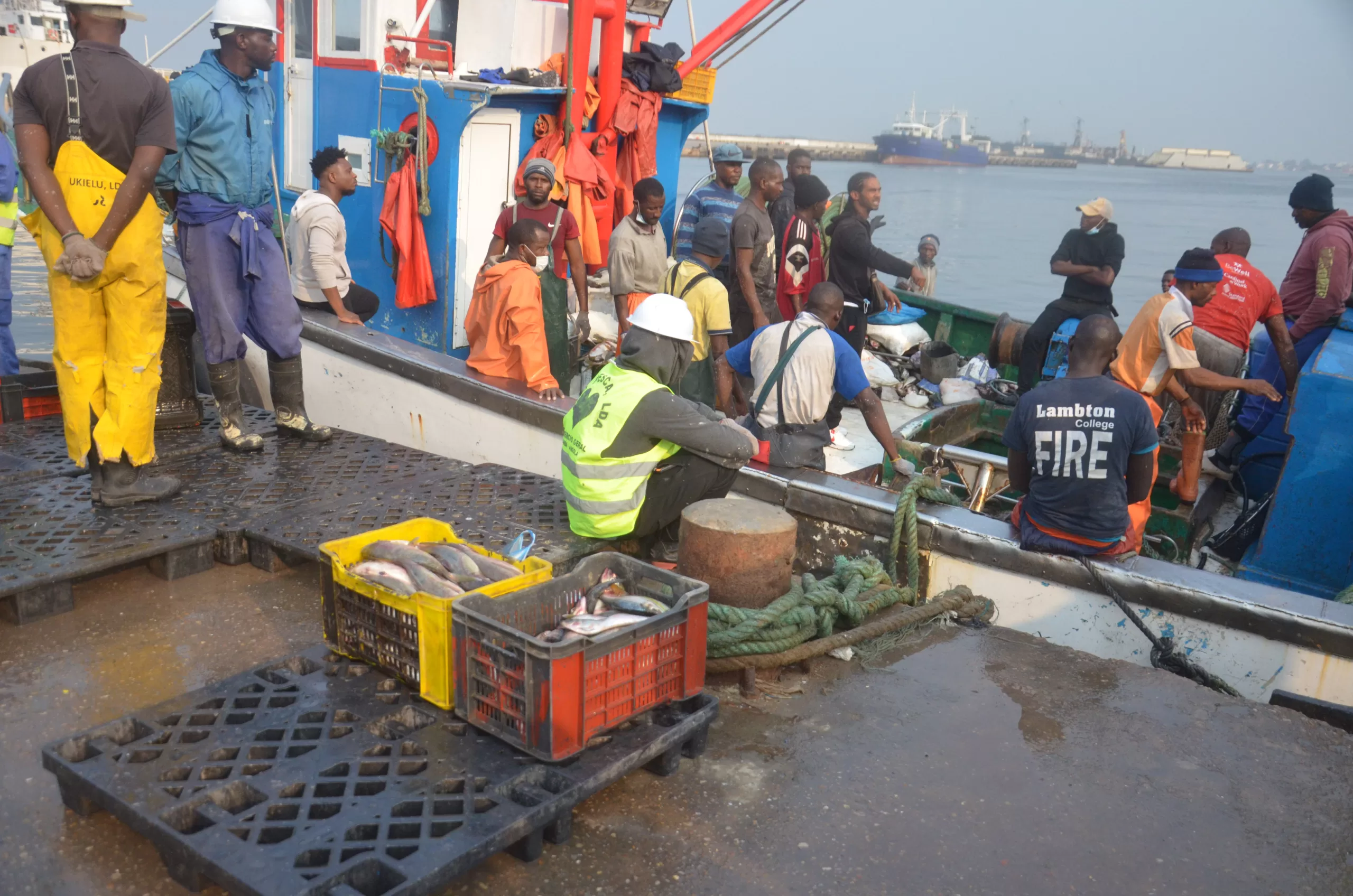 Exportação de peixe ronda os 239 milhões de dólares