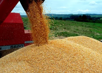 Cesta básica conta com um défice de 9,7 milhões de toneladas de produtos
