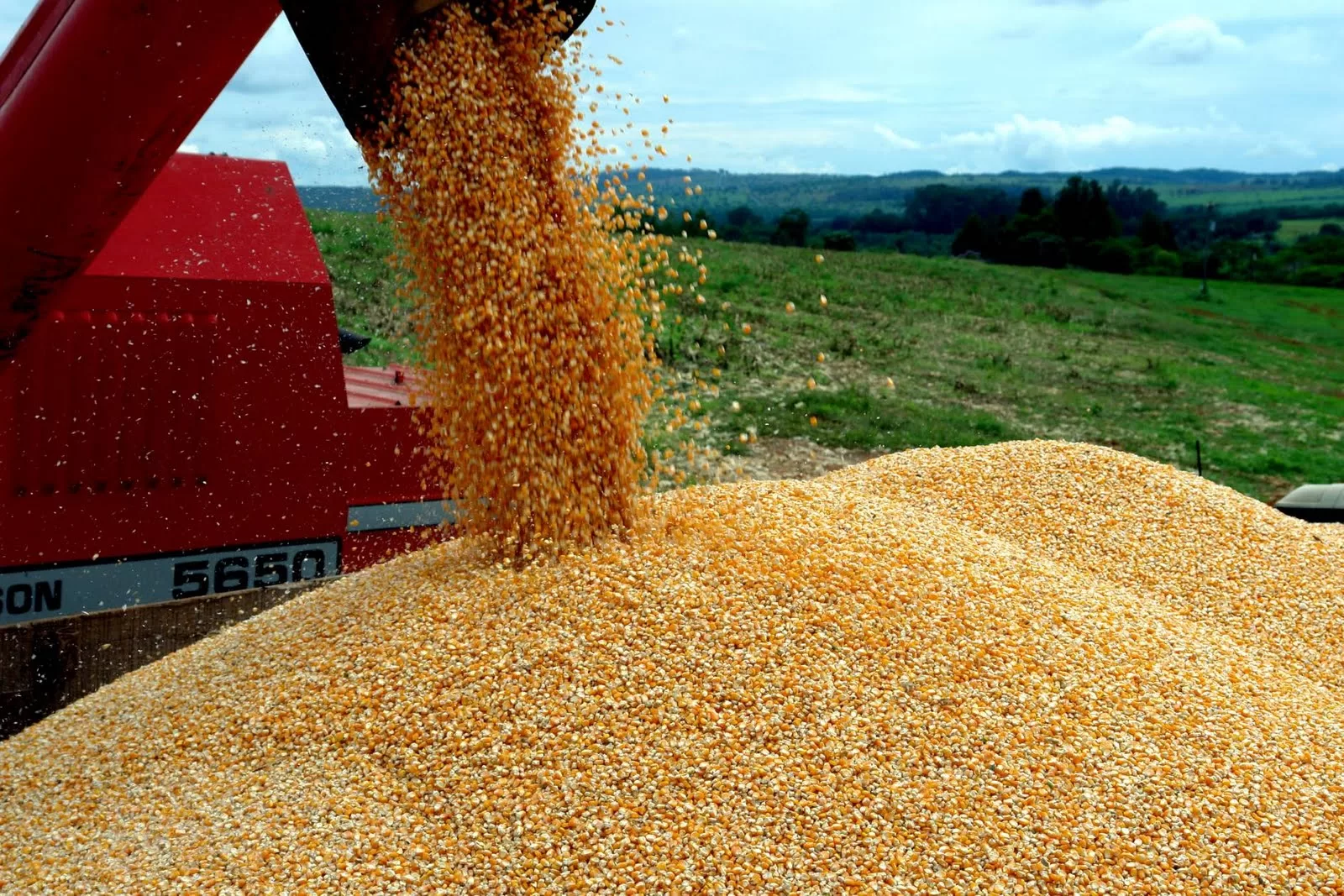 Cesta básica conta com um défice de 9,7 milhões de toneladas de produtos