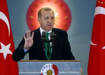 Presidente da Turquia contra marginalização da Rússia nos cereais