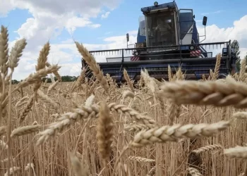 Ucrânia quer processar três países por proibirem importação de cereais