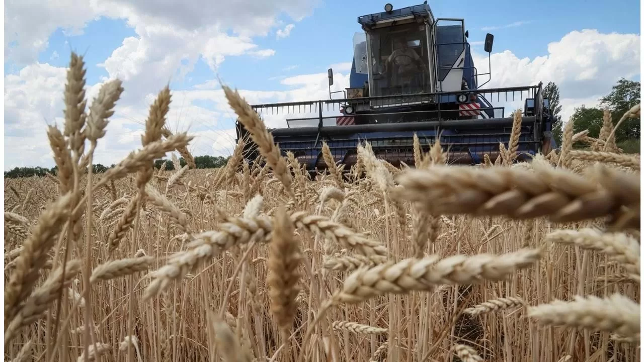 Ucrânia quer processar três países por proibirem importação de cereais