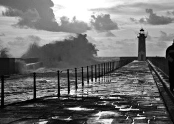 O Farol da sustentabilidade