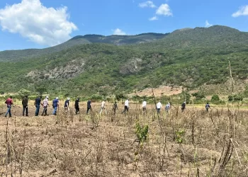 Viva Seguros e Carrinho Agri aceleram estratégia que aproxima seguro agrícola aos produtores familiares