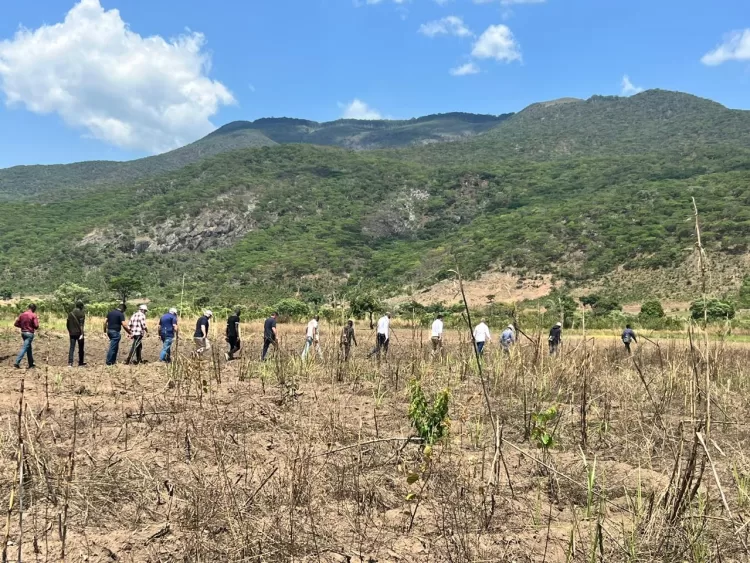 Viva Seguros e Carrinho Agri aceleram estratégia que aproxima seguro agrícola aos produtores familiares