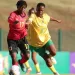 CAF promove curso de instrutoras de elite feminina do desporto rei